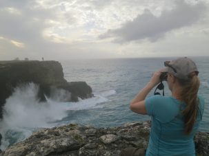 How High Can Seas Rise? On a Tropical Isle, the Answers Are Not Always Obvious.