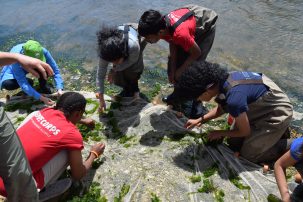 New York’s Waterways are WILD: Come Explore at the Great Fish Count!