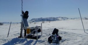Researchers Develop an Artificial Intelligence to Analyze Birdsong in a Warming Arctic