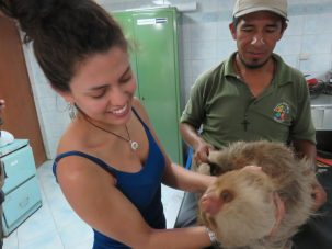 Study Signals Change in How Scientists Calculate Ancient Diets