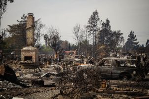 State Farm’s California Pullout: What It Means for Climate Adaptation and Communities