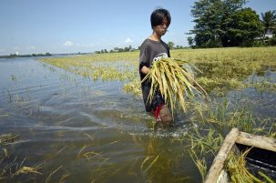 How Climate Change Will Alter Our Food