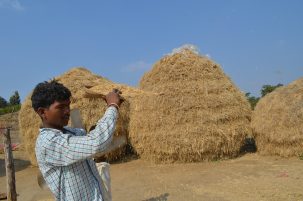 Researchers Say an 1800s Global Famine Could Happen Again