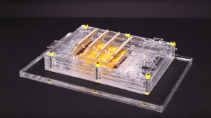 Fall Events Provide Hope for Solving Climate Change