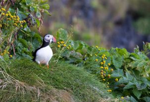 Contest Highlights Stunning Photos of Nature and Fieldwork