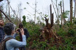 Hurricane Maria Study Warns: Climate-Driven Storms May Raze Many Tropical Forests