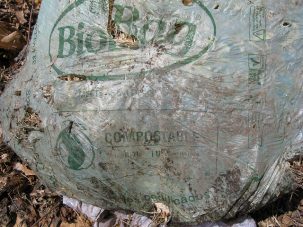 You Asked: What Are the Most Eco-Friendly Garbage Bags?