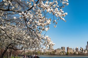 Nothing to Sneeze At: How Climate Change Could Make Your Allergies Worse