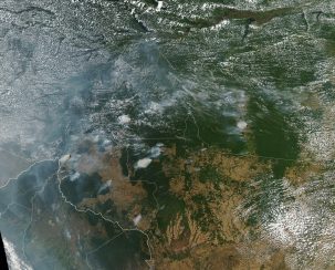 You Asked: How Destructive Are the Amazon Rainforest Fires? Can They Be Stopped?