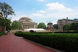 The Role of the University in Environmental Sustainability