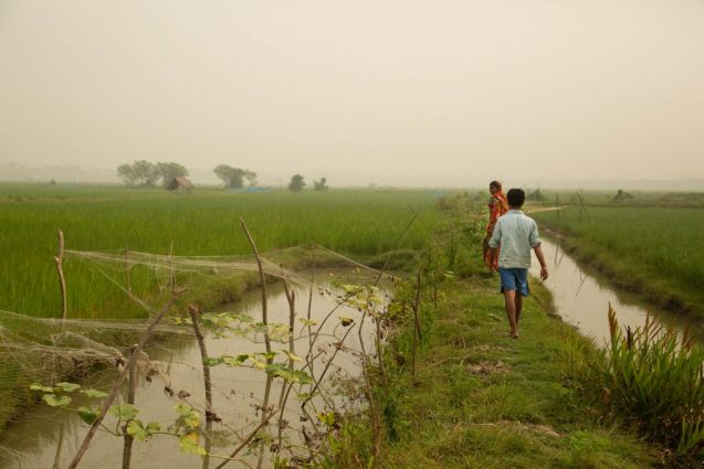 farmers in a field