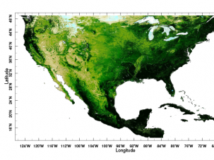 Using Big Data to Combat Catastrophes