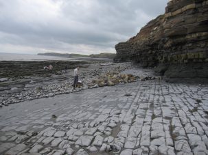 The 12 Questions Earth Scientists Should Ask in the Next 10 Years