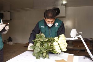A Minority of Peruvian Mountain Farmers Benefit From Government Pandemic Programs