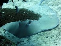 A Photo Essay Celebrating Africa’s Precious Biodiversity