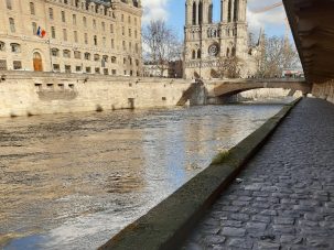 Lead Fallout From Notre Dame Fire Was Likely Overlooked