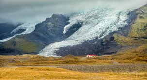 In Iceland, Melting Glaciers Give Way to Plant Life
