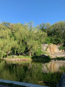 It’s Time to Invest in New York City’s Parks