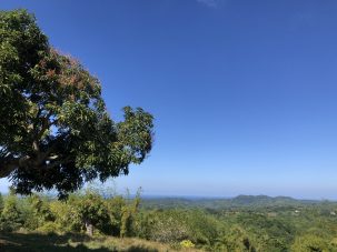 Old Ground: A Poem About Going Home