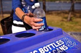 The Role of Individual Responsibility in the Transition to Environmental Sustainability