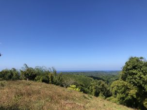 My Jamaica: A Poem