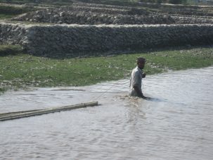 Task Force Presents Advice to U.S. on Climate and Global Migration