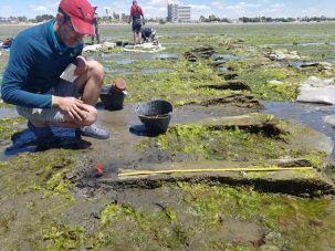 Científicos afirman que un naufragio en la costa de Patagonia es un ballenero norteamericano perdido en 1859