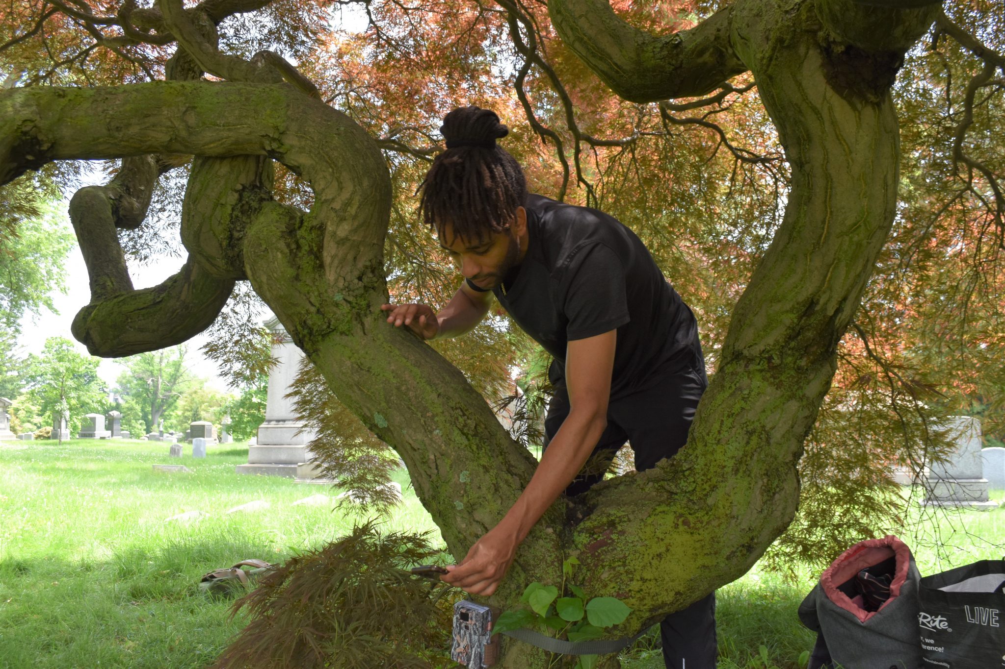 Scientists Are Mapping New York City Wildlife. And We Don’t Mean Rats ...