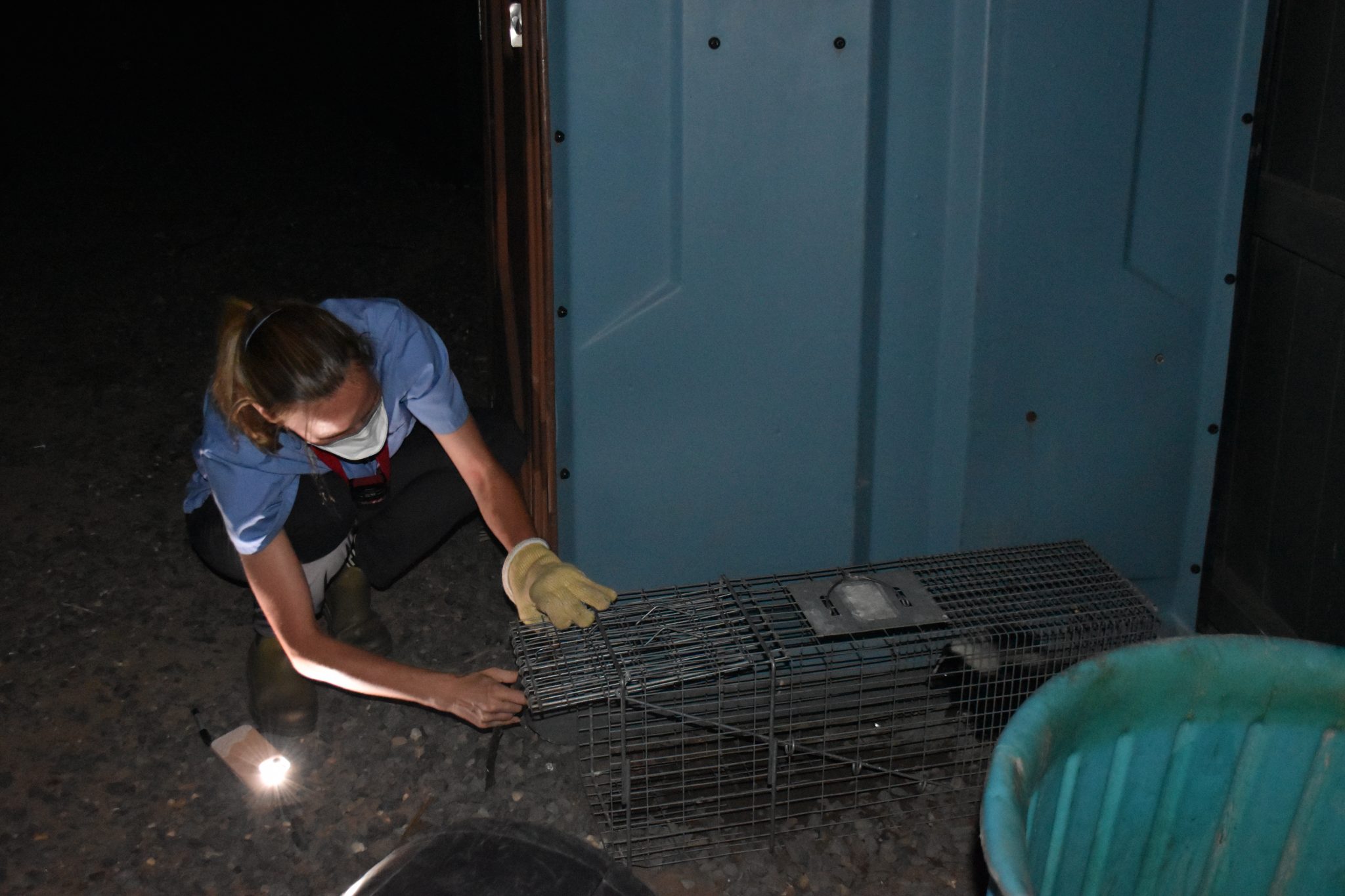 Scientists Are Mapping New York City Wildlife. And We Don’t Mean Rats ...