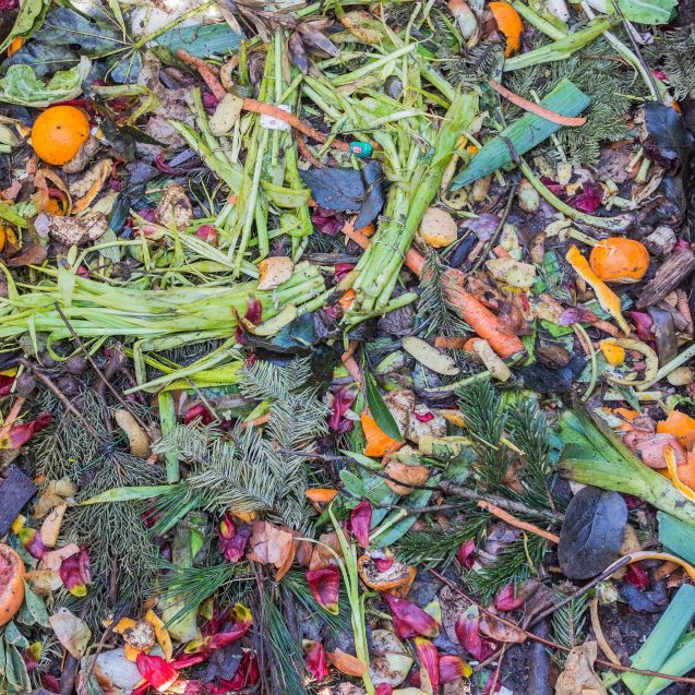 Food Waste and the Complexity of New York City’s Garbage – State of the ...