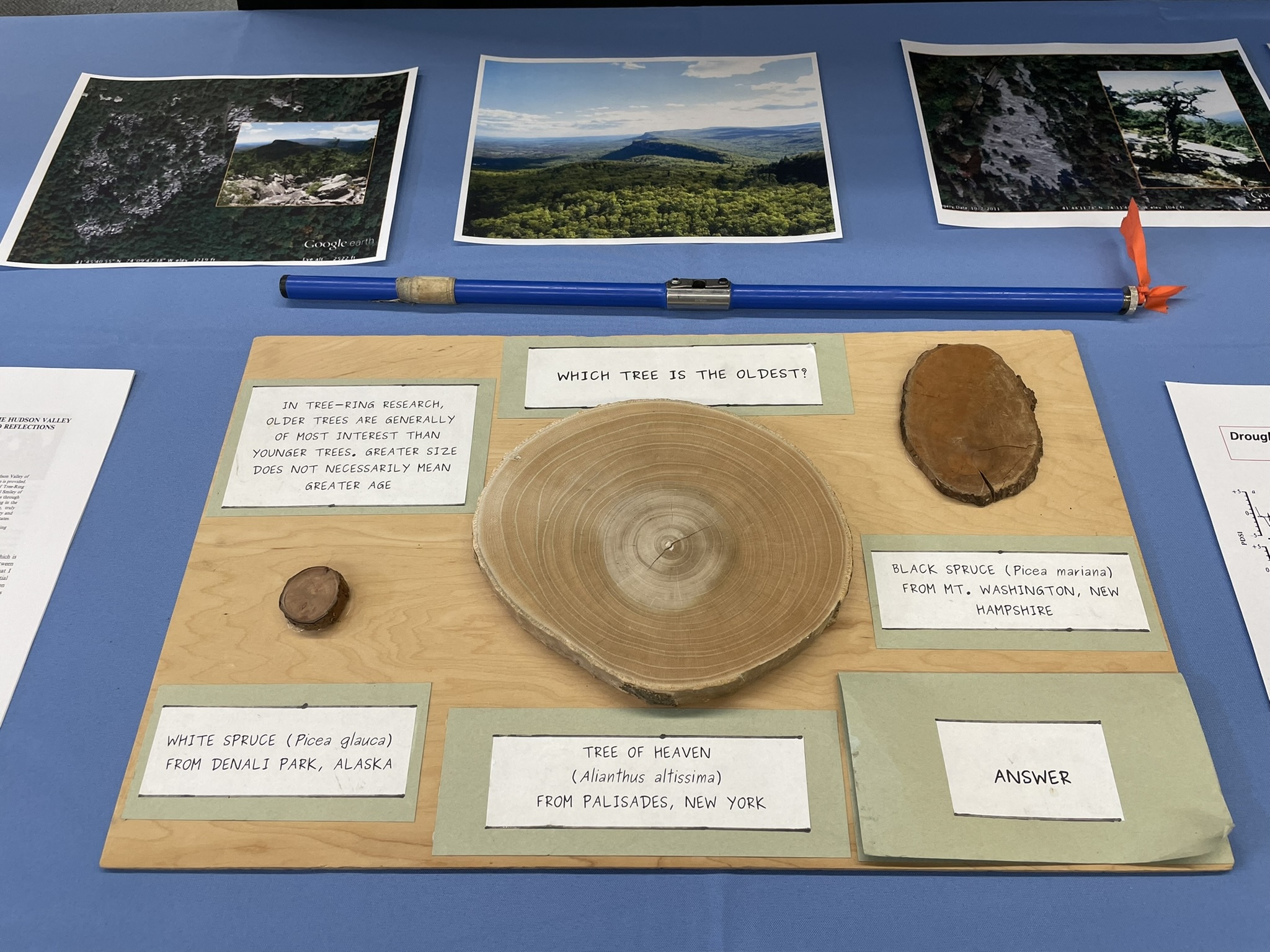 Tree Ring Lab Highlights From the 2024 Lamont Open House: 75th Anniversary Edition ...