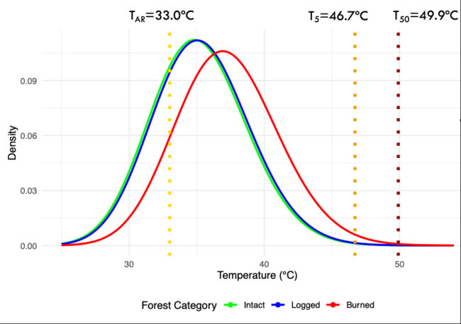 Modeled upper canopy leaf temperature distributions based on thermal observations from ECOSTRESS of forest
patches (intact, logged and burned) on the warmest, cloud-free observation in a 2-year dry season record (31-08-2018). Results
for the warmest patches (top quartile) are shown.