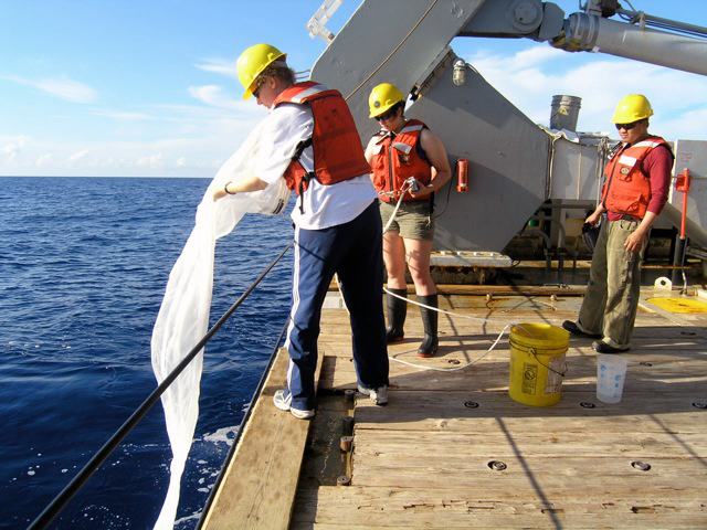 People on a research vessel, fishing for microbes with what looks like a long white sheet.