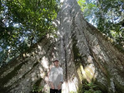 Burned Amazon Forests Stay Hot and Stressed for Decades, Finds New NASA-Supported Study