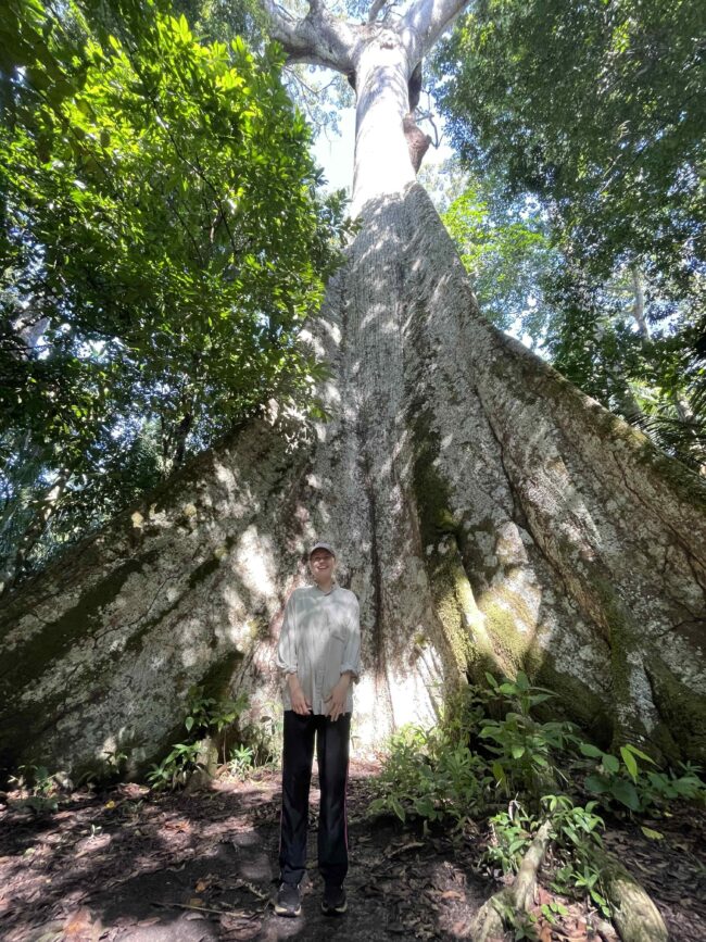 Burned Amazon Forests Stay Hot and Stressed for Decades, Finds New NASA-Supported Study