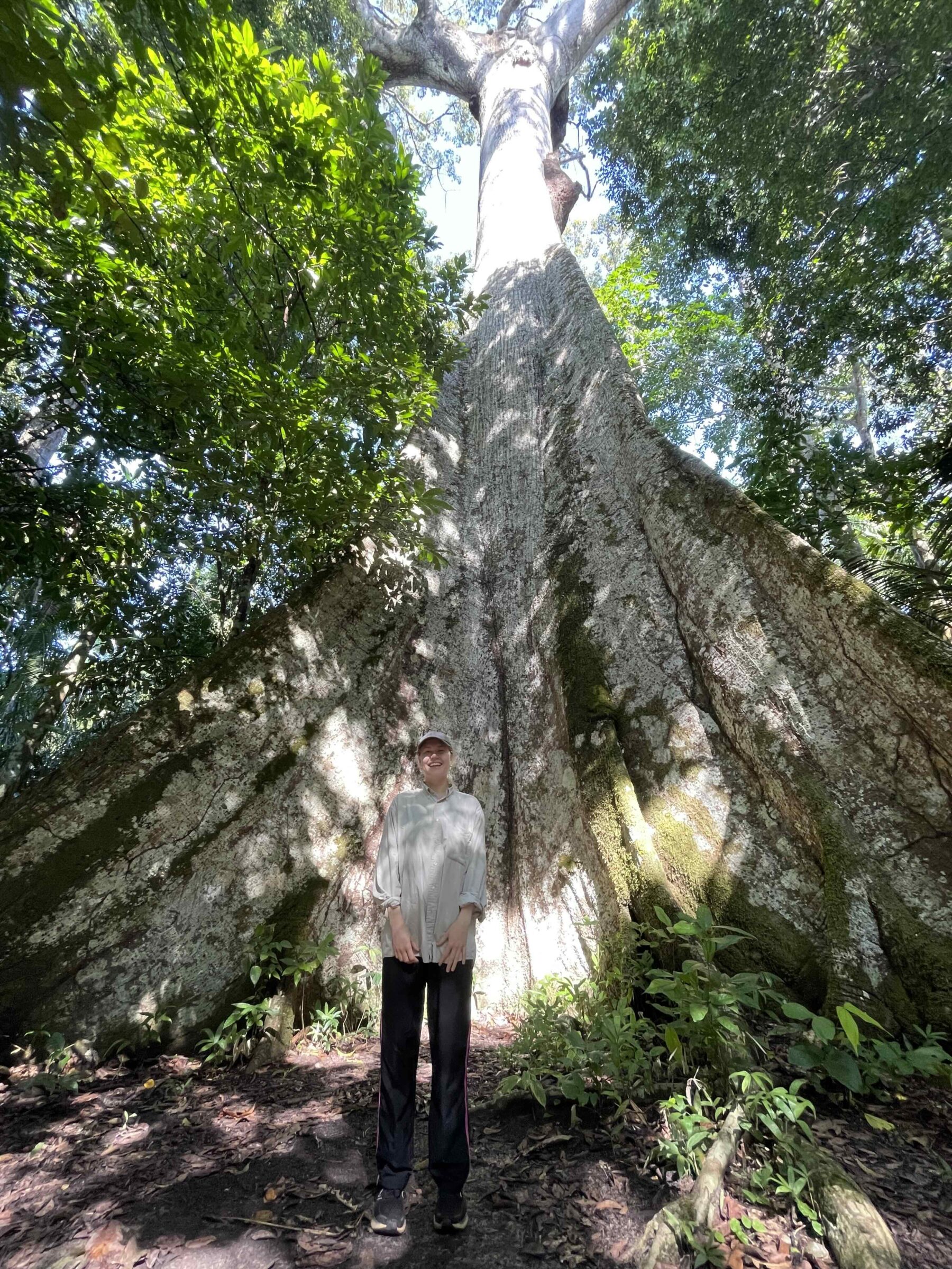 Burned Amazon Forests Stay Hot and Stressed for Decades, Finds New NASA-Supported Study