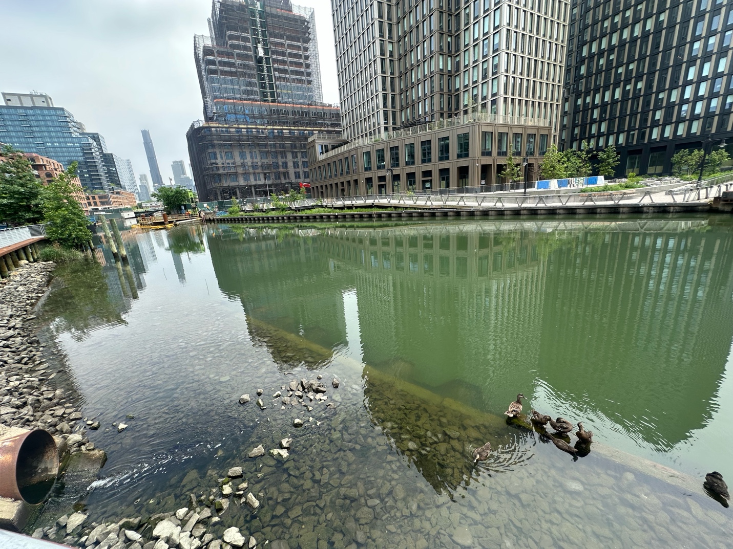 Toxic Legacies and Transformative Learning: MPA-ESP Students Explore the Gowanus Canal