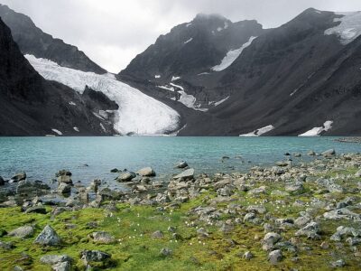 Study Finds We’ll Lose Almost 40 Percent of Our Glacial Ice