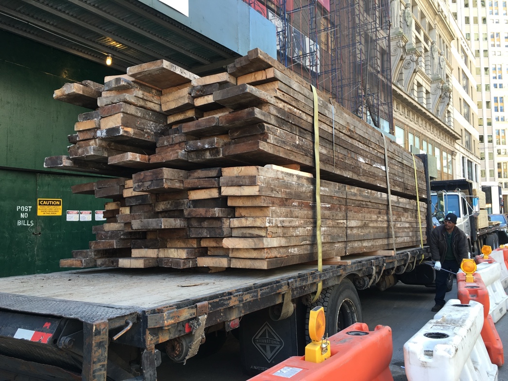 Rings of Time: Preserving the Past and Seeking Clues to the Future in Urban Timber