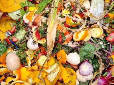 NYC’s Composting Rates Are Low. A Sustainability Expert Thinks AI Will Offer a Solution. Eventually.