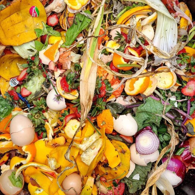 Close up view of compost