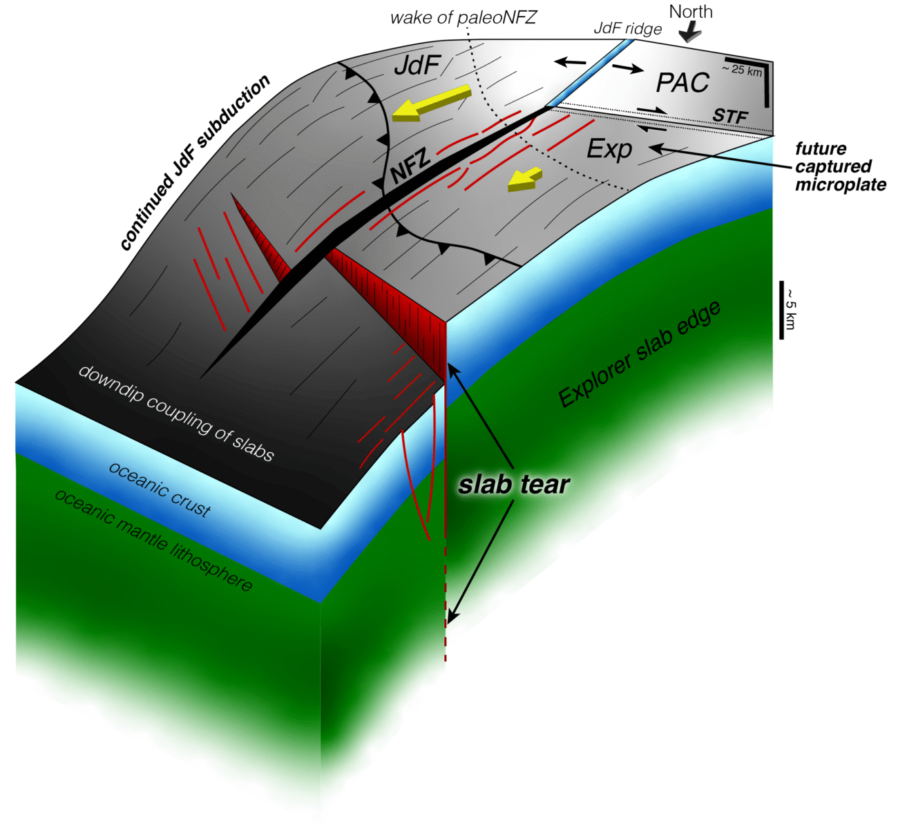 Earth's Crust Is Tearing Apart off the Pacific Northwest-and That's Not Necessarily Bad News