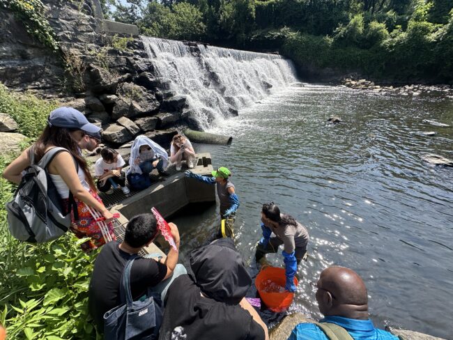 Siswa yang melihat pengambilan sampel Sungai Bronx untuk spesies