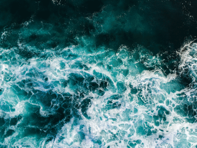 The Ocean Carbon Sink Is Ailing