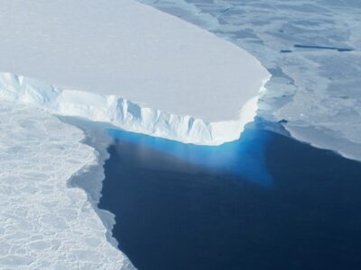 Columbia Will Co-Lead Major Project To Study Global Carbon Cycle