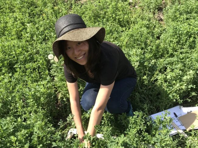 What Does It Mean for Soil To Be Healthy?