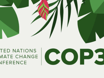 COP30: The Road to Belém