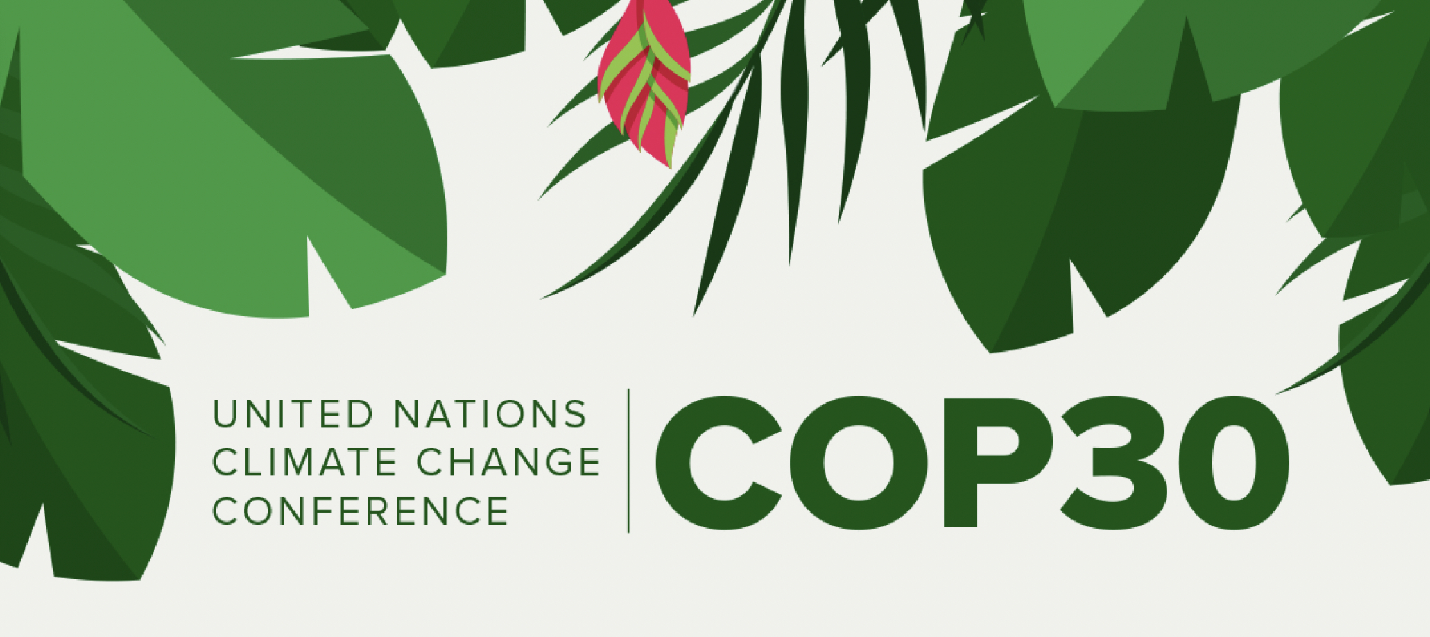 COP30: The Road to Belém