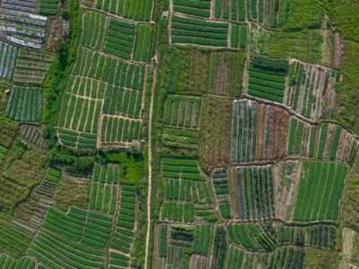 A Blueprint for Survival: New EAT-Lancet Report Is a Sustainable Food Systems Roadmap