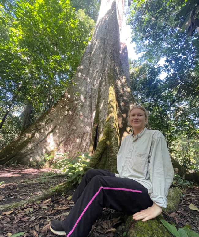 The lead author, Savannah Cooley, sitting in front of one of the largest measured trees in the southern Amazon—a magnificent Ceiba pentandra towering 61 meters tall.